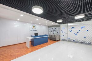 Project Name